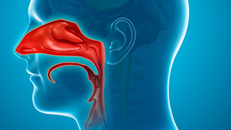 turbinoplastia y radiofrecuencia de cornetes en Santander